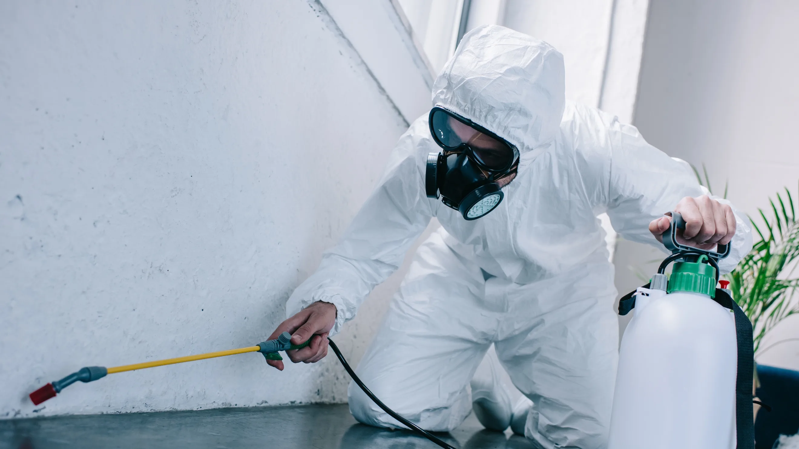 Pest control